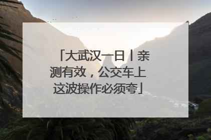 大武汉一日丨亲测有效，公交车上这波操作必须夸