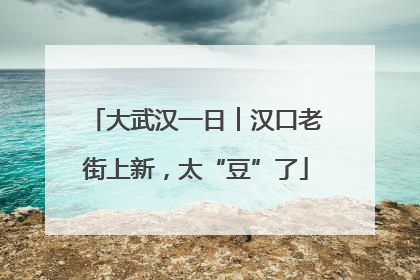大武汉一日︱汉口老街上新，太“豆”了