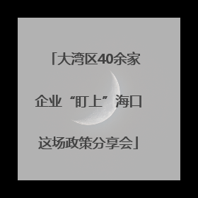 大湾区40余家企业“盯上”海口这场政策分享会