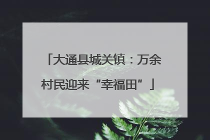 大通县城关镇：万余村民迎来“幸福田”