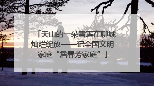 天山的一朵雪莲在聊城灿烂绽放——记全国文明家庭“詹春芳家庭”