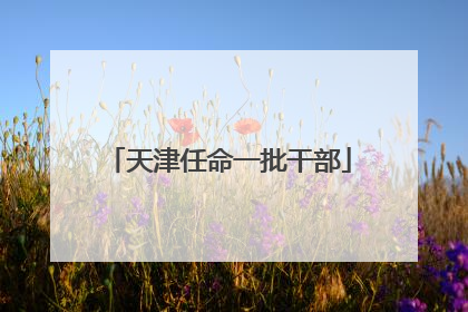 天津任命一批干部