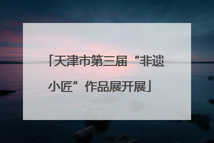 天津市第三届“非遗小匠”作品展开展