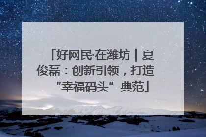 好网民·在潍坊｜夏俊磊：创新引领，打造“幸福码头”典范