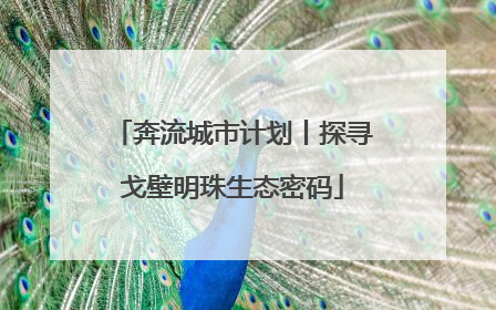 奔流城市计划丨探寻戈壁明珠生态密码