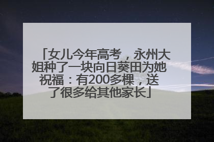 女儿今年高考，永州大姐种了一块向日葵田为她祝福：有200多棵，送了很多给其他家长