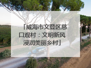 威海市文登区慈口观村：文明新风浸润美丽乡村