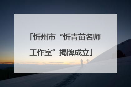 忻州市“忻青苗名师工作室”揭牌成立