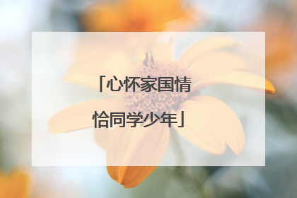 心怀家国情 恰同学少年