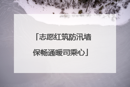 志愿红筑防汛墙 保畅通暖司乘心