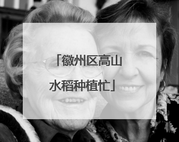 徽州区高山水稻种植忙
