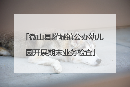 微山县驩城镇公办幼儿园开展期末业务检查