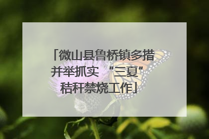 微山县鲁桥镇多措并举抓实 “三夏” 秸秆禁烧工作