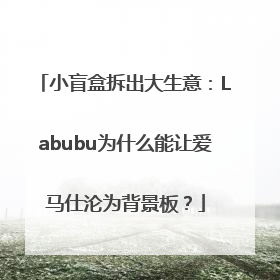 小盲盒拆出大生意：Labubu为什么能让爱马仕沦为背景板？