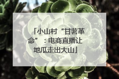 小山村“甘薯革命”：电商直播让地瓜走出大山