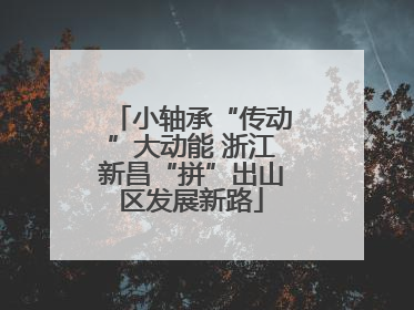 小轴承“传动”大动能 浙江新昌“拼”出山区发展新路