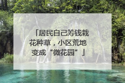 居民自己筹钱栽花种草，小区荒地变成“微花园”