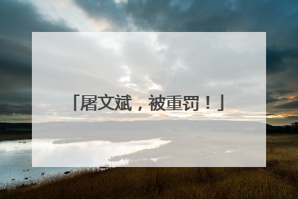 屠文斌，被重罚！