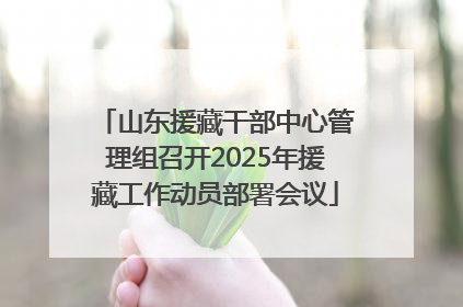 山东援藏干部中心管理组召开2025年援藏工作动员部署会议