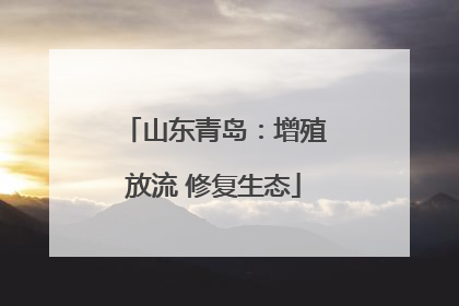 山东青岛：增殖放流 修复生态