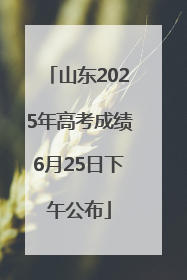 山东2025年高考成绩6月25日下午公布