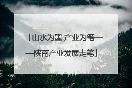 山水为墨 产业为笔——陕南产业发展走笔