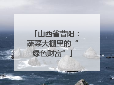 山西省昔阳：蔬菜大棚里的“绿色财富”