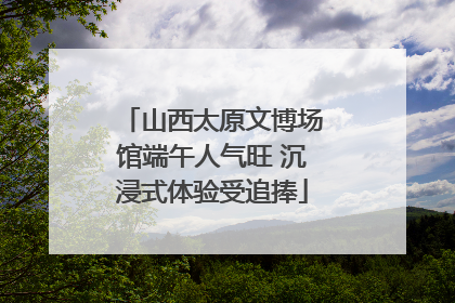 山西太原文博场馆端午人气旺 沉浸式体验受追捧