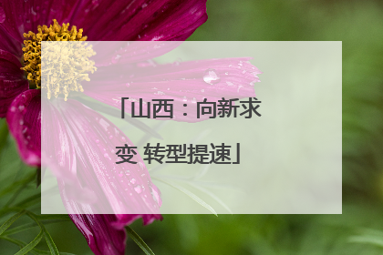 山西：向新求变 转型提速