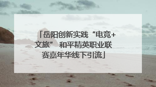 岳阳创新实践“电竞+文旅” 和平精英职业联赛嘉年华线下引流