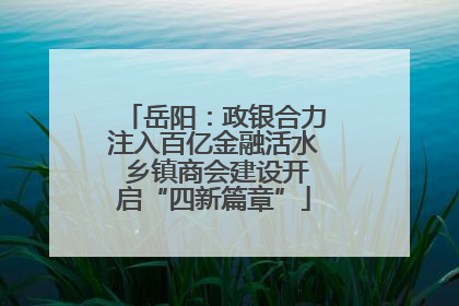 岳阳：政银合力注入百亿金融活水 乡镇商会建设开启“四新篇章”