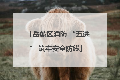 岳麓区消防 “五进” 筑牢安全防线