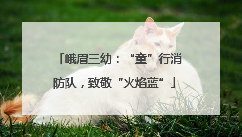 峨眉三幼：“童”行消防队，致敬“火焰蓝”