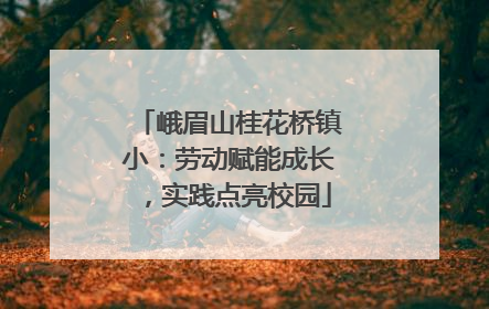 峨眉山桂花桥镇小：劳动赋能成长，实践点亮校园