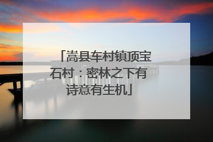 嵩县车村镇顶宝石村：密林之下有诗意有生机
