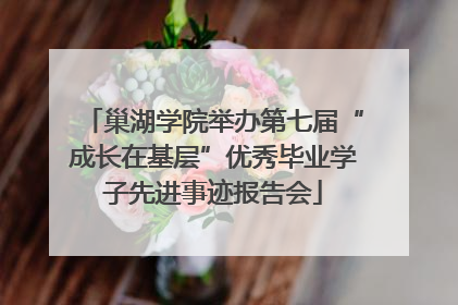巢湖学院举办第七届“成长在基层”优秀毕业学子先进事迹报告会