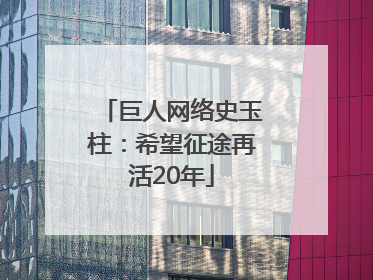 巨人网络史玉柱：希望征途再活20年