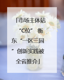 市场主体站“C位” 衡东“一区三园”创新实践被全省推介