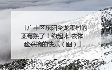 广丰区东阳乡龙溪村的蓝莓熟了！约起来 去体验采摘的快乐（图）
