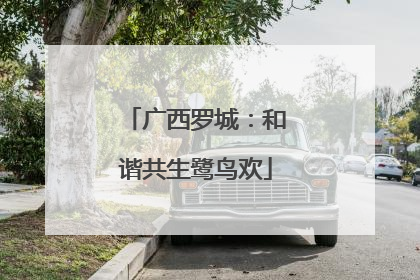 广西罗城：和谐共生鹭鸟欢