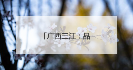 广西三江：品味非遗迎端午