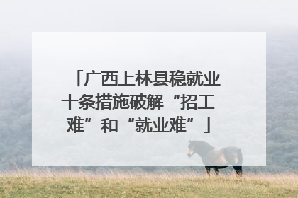 广西上林县稳就业十条措施破解“招工难”和“就业难”