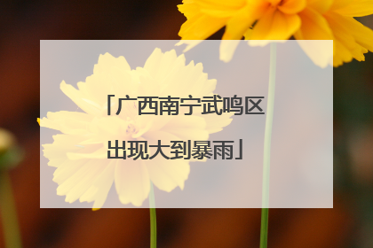 广西南宁武鸣区出现大到暴雨