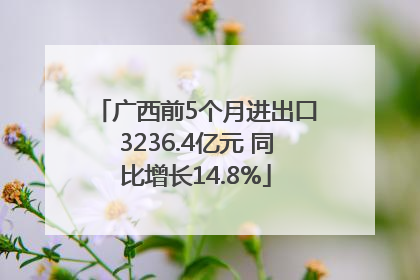 广西前5个月进出口3236.4亿元 同比增长14.8%