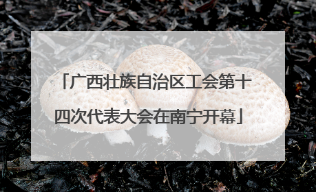 广西壮族自治区工会第十四次代表大会在南宁开幕