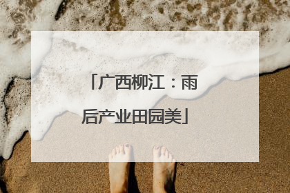 广西柳江：雨后产业田园美