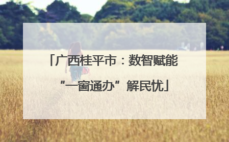广西桂平市：数智赋能“一窗通办”解民忧