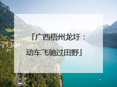 广西梧州龙圩：动车飞驰过田野