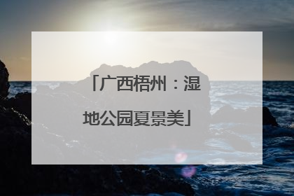 广西梧州：湿地公园夏景美