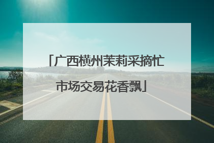 广西横州茉莉采摘忙 市场交易花香飘